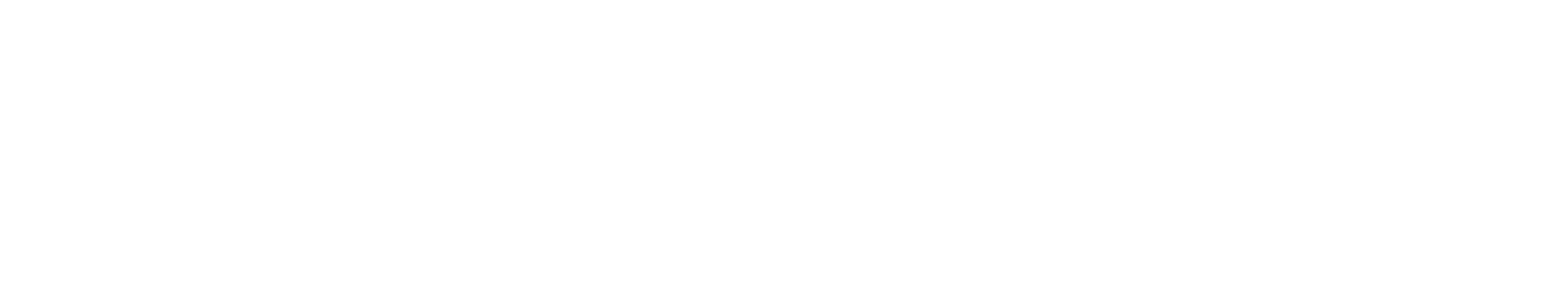 Logotipo-blanco-Time-Tracker